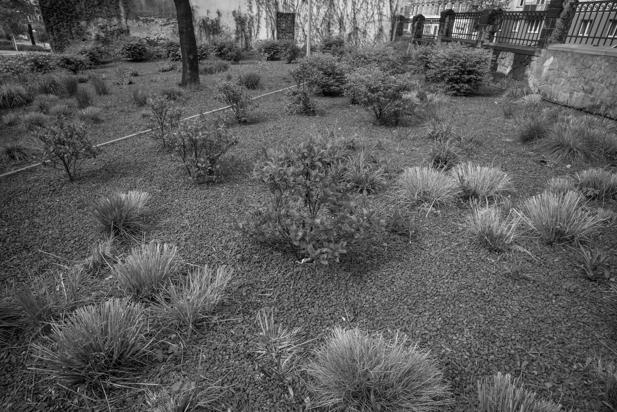 Subiektywnie o Leica M Monochrom Typ 246 48