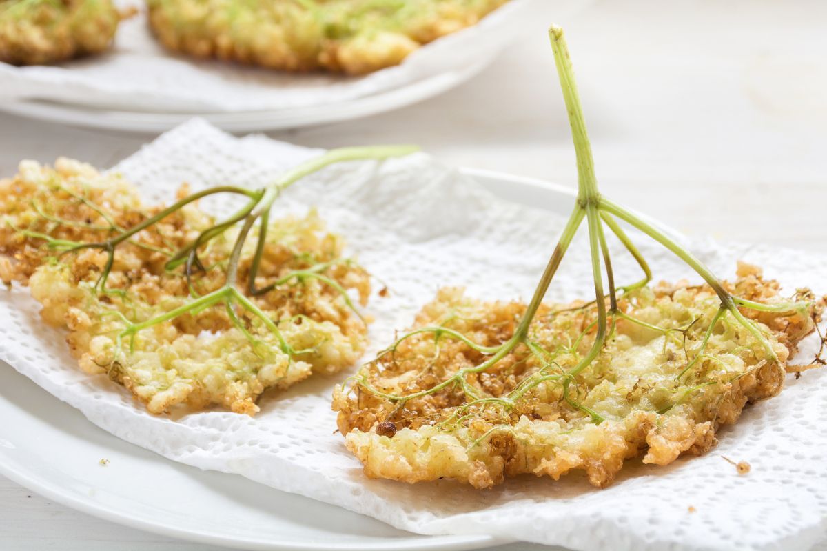 A snack in your garden? Fried elderflower recipe