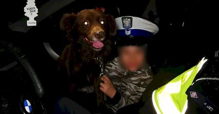 Zaginął 8-latek. Chłopiec pobiegł za psem. Po kilku godzinach został odnaleziony przez policjantów
