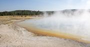 USA. Mężczyzna chciał ugotować kurczaka w gorących źródłach Yellowstone