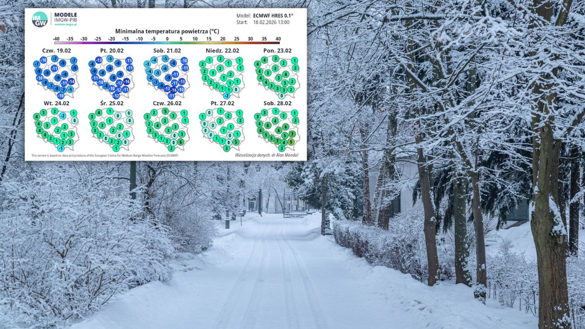 Wraca mróz. Najnowsza prognoza pogody