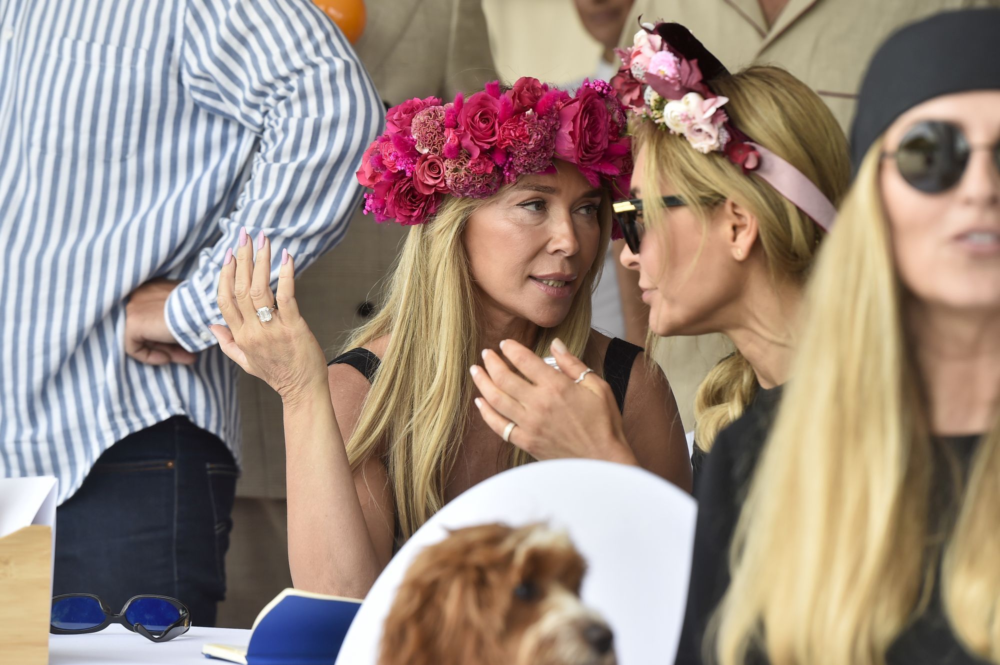 celebryci bawią się w Gałkowie, zwanym także "polskim Ascot"