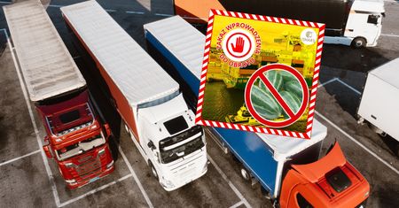 Służby zablokowały wjazd 2 ton żywności z Chin. Oto co wykryły
