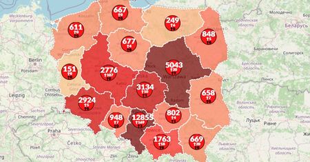 Koronawirus w Polsce. Prawie 400 nowych przypadków COVID-19 [Mapa zakażeń 01.07.20]