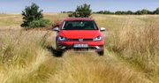 Volkswagen Golf Alltrack 2.0 TDI 4Motion DSG - galeria testowa