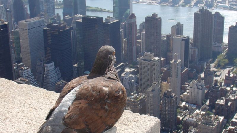 Z czego zrobiono najdroższą makietę Manhattanu? 1