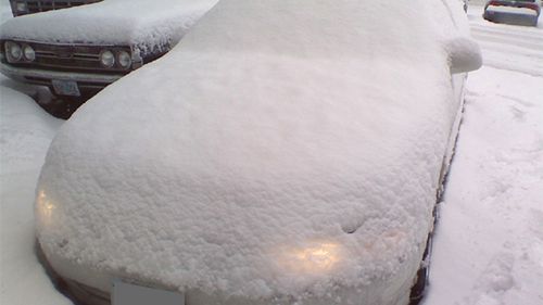 Zima wróciła - odśnież samochód żeby nie płacić mandatu 1