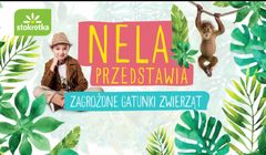 Nela Mała Reporterka bohaterką kampanii lojalnościowej Stokrotki