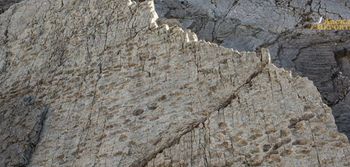 Odkrycie we Włoszech. "Tysiące tropów sprzed 210 mln lat"