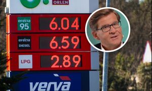 Naciski na Orlen ws. obniżki cen paliw. Ekonomista: "Mówmy o tym cicho"