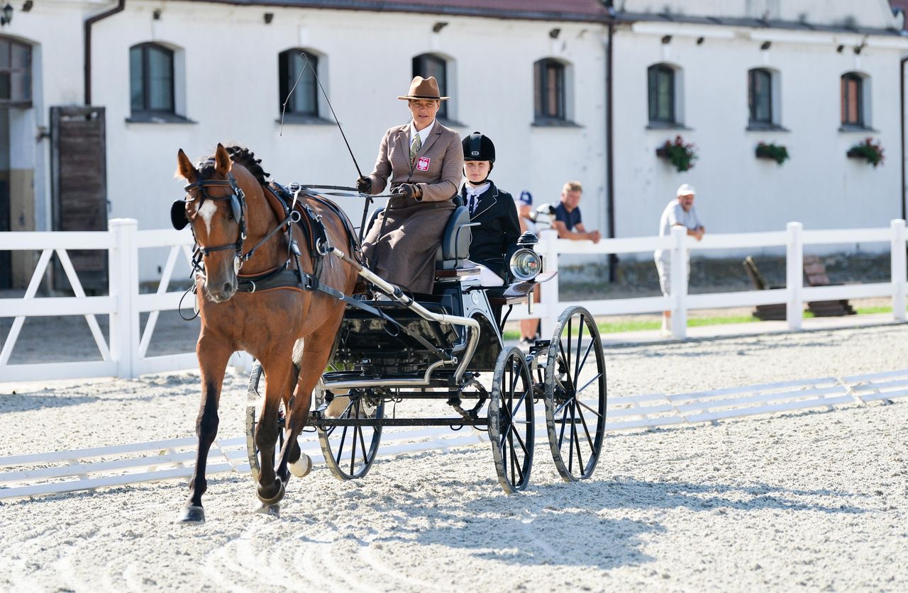 MAZOpiknik w Stadzie Ogierów w Łącku – święto rodziny, tradycji i dobrej zabawy!