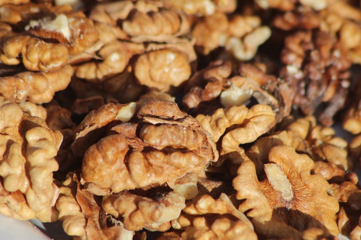 Walnuts: Nature's powerhouse for brain and heart health