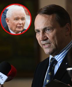 "Wredna insynuacja". Sikorski odpowiada Kaczyńskiemu