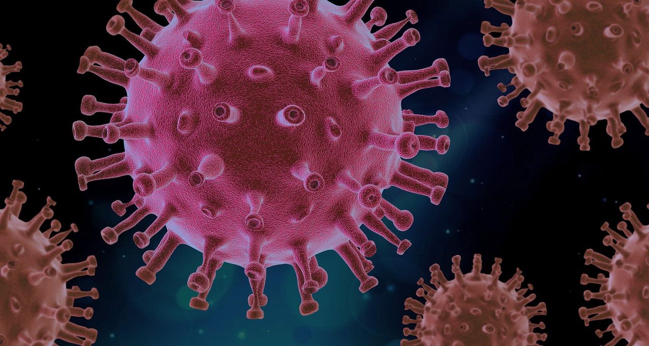 Koronawirus. Naukowcy wyjaśniają, jak dawne infekcje wpływają na przebieg COVID-19