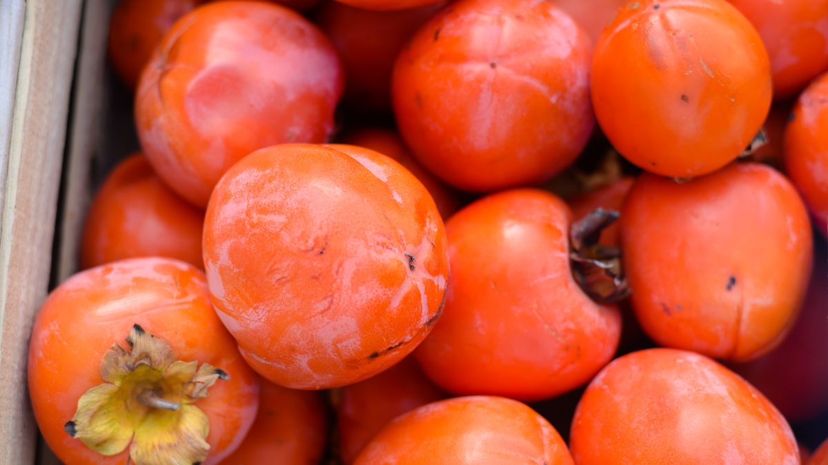 Fresh Persimmon kaki fruits
Persimmon kaki fruits freshly collected at the market boxes
autumn, water, sweet, white, tasty, arrangement, agriculture, ingredient, fresh, date plum, china, outdoor, macro, season, market, peru, farm, peruvian, buy, natural, vitamin, red, asian, background, diospyros, dessert, life, sell, eat, kaki, nutrition, fruit, health, food, diet, orange, tropical, south, america, ripe, juicy, tree, winter, still, persimmon, fall, harvest, oriental, shop, nature, autumn, water, sweet, white, tasty, arrangement, agriculture, ingredient, fresh, date plum, china, outdoor, macro, season, market, peru, farm, peruvian, buy, natural, vitamin, red, asian, background, diospyros, dessert, life, sell, eat, kaki, nutrition, fruit, health, food, diet, orange, tropical, south, america, ripe, juicy, tree, winter, still, persimmon, fall, harvest, oriental, shop, nature