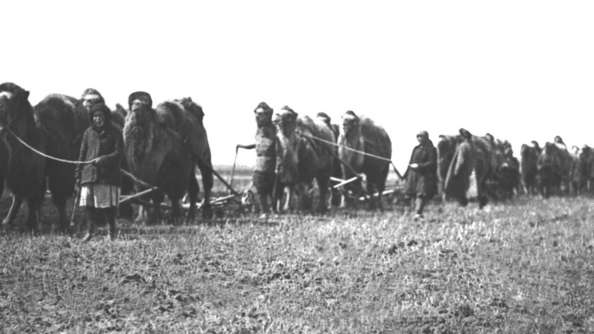 Zginął nawet co drugi mieszkaniec. Tak Stalin zagłodził Kazachstan 3