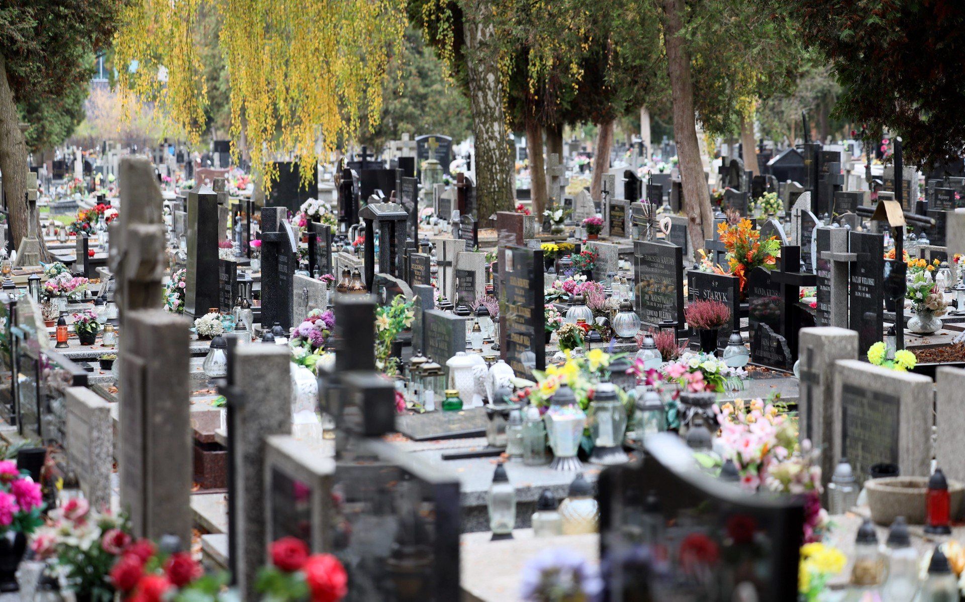 Najdroższe oferty dotyczą najbardziej prestiżowej nekropolii w mieście, czyli cmentarza przy ulicy Lipowej