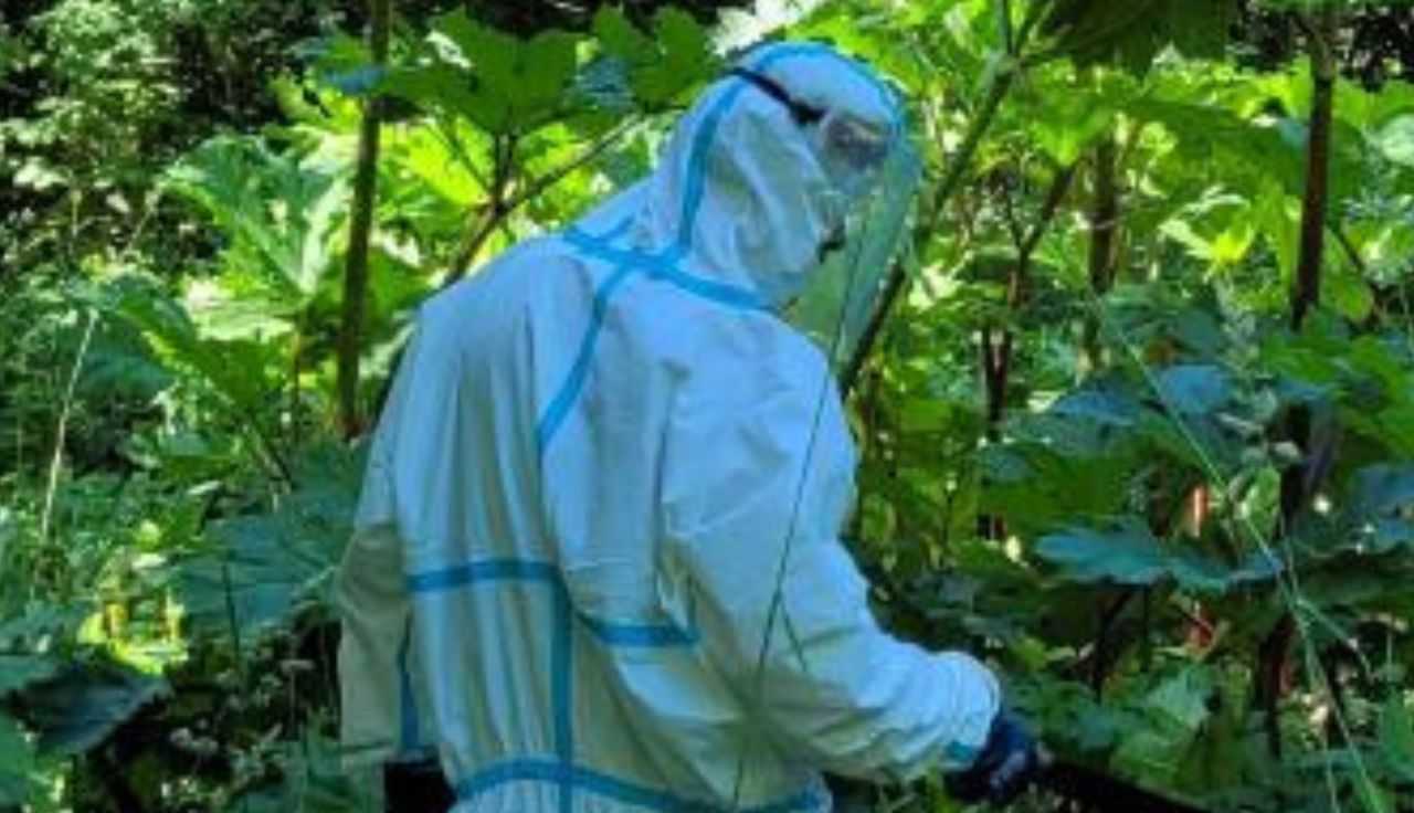 Leśnicy toczą walkę. "Bardzo niebezpieczny dla ludzi"