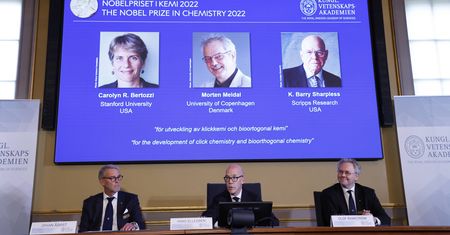 Nagroda Nobla z chemii. Za rozwój nowych metod syntezy
