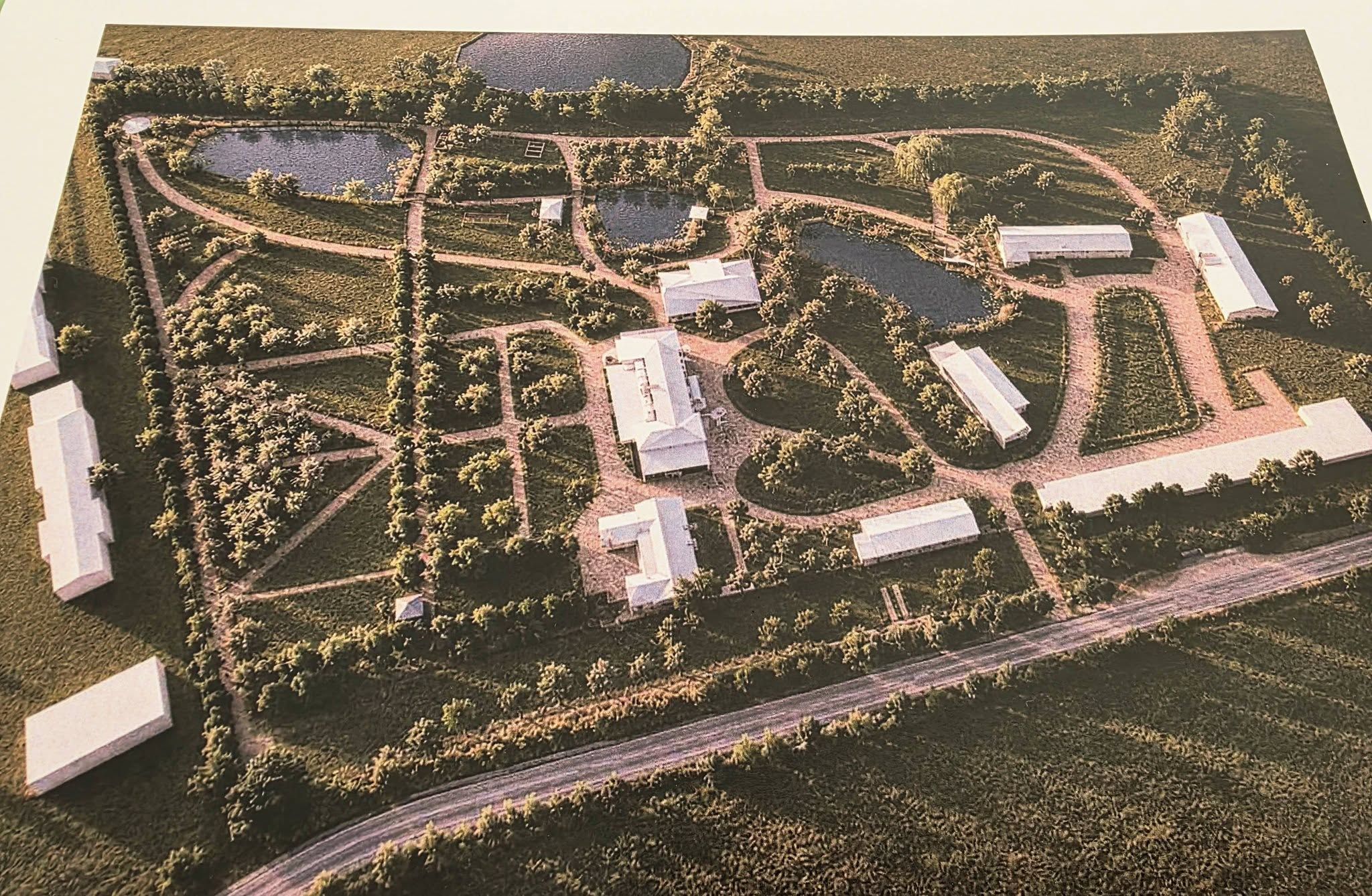 Wizualizacje