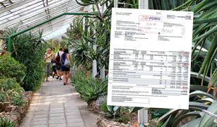 Gigantyczny rachunek za gaz. "Rozbój w biały dzień"
