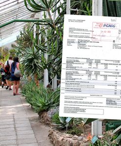 Gigantyczny rachunek za gaz. "Rozbój w biały dzień"