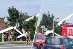 Szybowiec runął na drzewo. Utrudnienia w Płocku