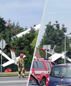 Szybowiec runął na drzewo. Utrudnienia w Płocku