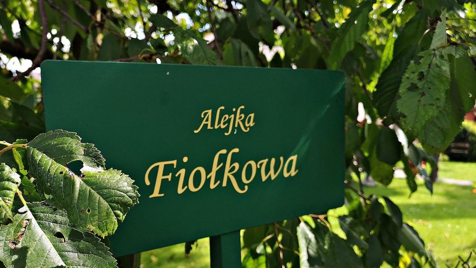 Środki z budżetu miasta mogą zostać przeznaczone na przedsięwzięcia obejmujące budowę, modernizację lub rozwój infrastruktury ogrodowej na terenie ogólnym ROD.