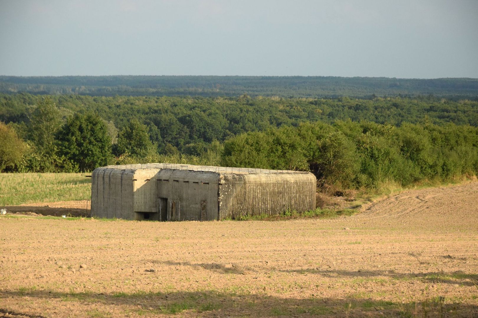 Kamil Stasiak buduje na Podlasiu cyfrową kapsułę czasu 