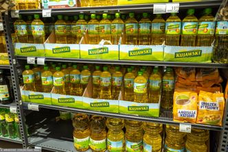 Olej popłynie rurociągiem do Polski? "Ta inwestycja po wojnie może nie mieć sensu"