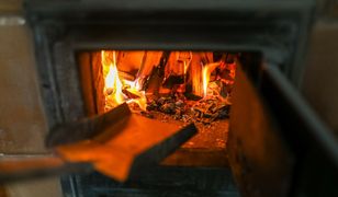 Koszty ogrzewania. Ile w tym roku zapłacimy za pellet?