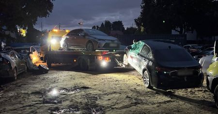 Warszawa: Policja rozbiła samochodowy proceder. Odzyskano 25 pojazdów