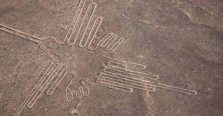 Odkryli setki nowych rysunków na płaskowyżu Nazca. Pomogła sztuczna inteligencja