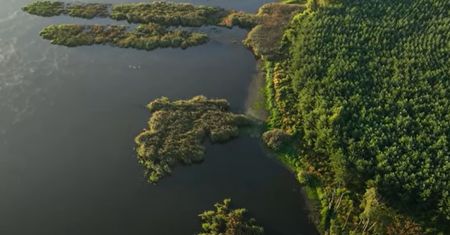 Nowy rezerwat przyrody w Polsce. Przedstawiamy "Jezioro Mścin"