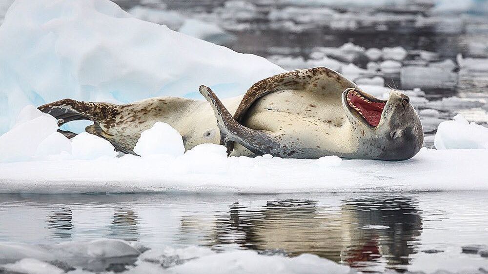 Mroźne krainy, które zachwycają swoją różnorodnością na zdjęciach Davida Merrona 1