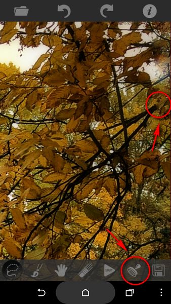 Przepis na mobilną fotoedycję: złota jesień 14
