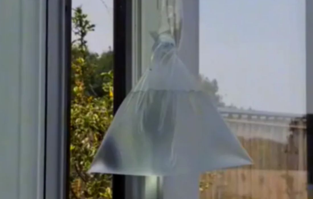 Worek z wodą na oknie pomoże odstraszyć muchy