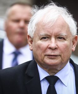 Jarosław Kaczyński leczy się u zielarki. Prezes PiS miał oczyszczać aurę suszonymi kasztanami od Janiny Gross