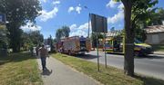Tragedia na przejściu dla pieszych w Płocku. Nie żyje 62-letnia kobieta!