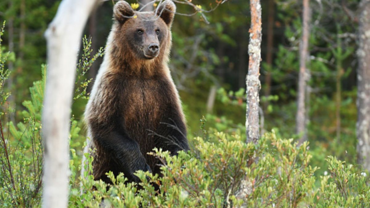Turyści muszą mieć się na baczności i trzymać szlaków wyznaczonych przez dyrekcję Tatrzańskiego Parku Narodowego