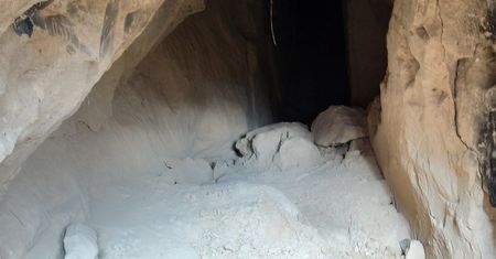 Sensacyjne odkrycie w Szczebrzeszynie. Badacze mają kilka teorii