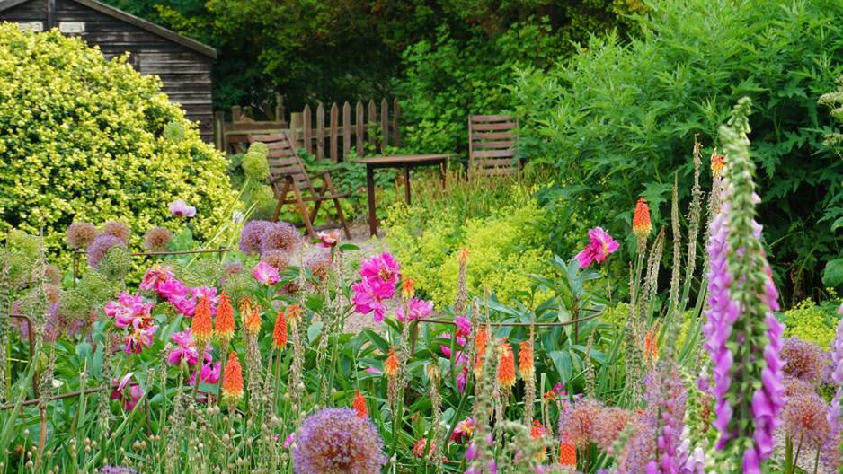 Zapomnij o idealnym trawniku i dopieszczonych rabatkach. Teraz są modne "dzikie" ogrody
