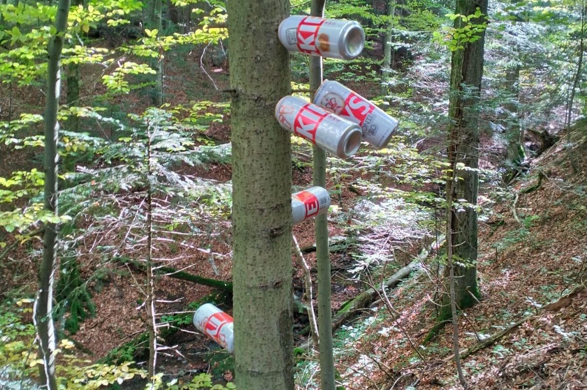 "Czasami słów brakuje". Taki widok zastał grzybiarz