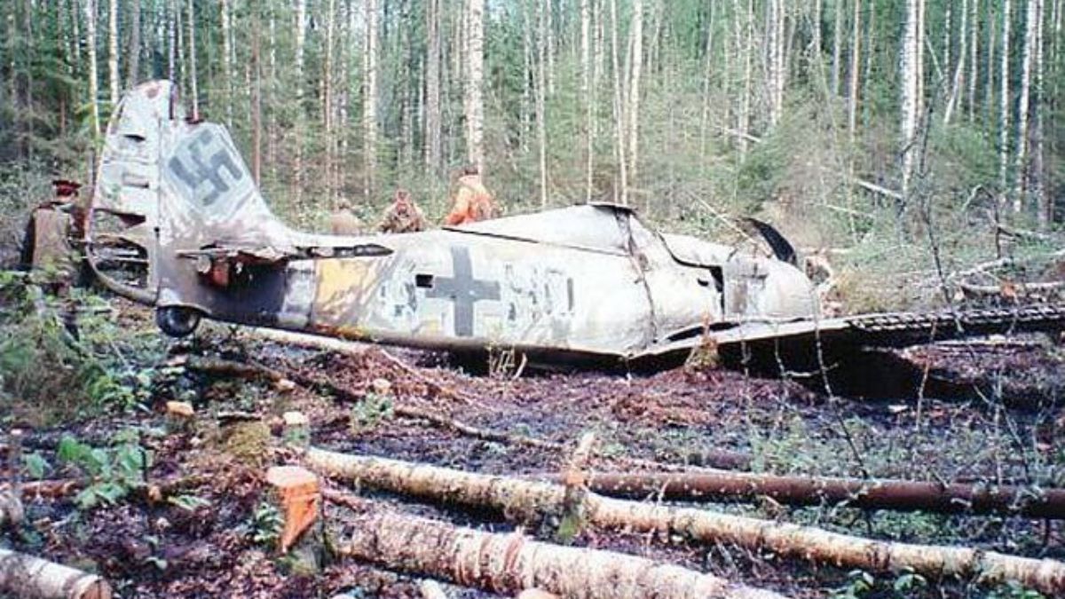 Zaskakujące odkrycie w lesie 