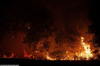 Południe Francji w ogniu. Strażacy walczą o każdy dom