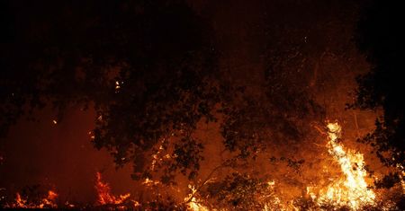 Południe Francji w ogniu. Strażacy walczą o każdy dom