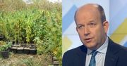 Minister zdrowia ostrzega: "Marihuana jest niebezpiecznym narkotykiem!"