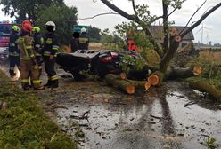 Drzewo zmiażdżyło auto. Koszmarny wypadek rodziny