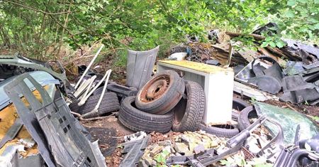 Umierały w męczarniach. Leśnicy pokazali zdjęcia. "Pomyśl nim wyrzucisz"